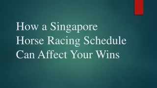 How a Singapore Horse Racing Schedule Can Affect Your Wins