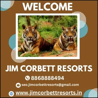 Exploring the Wild: A awesome Corbett Jeep Safari Experience