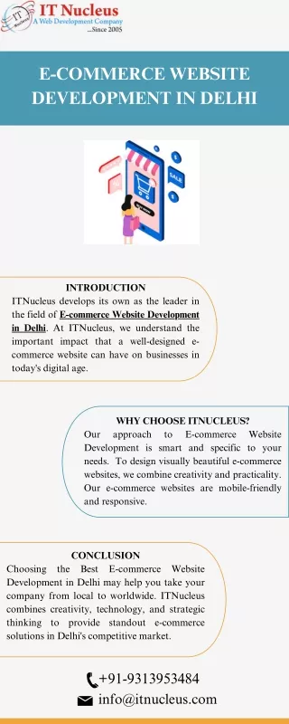 Ecommerce website development in Delhi | ITNucleus