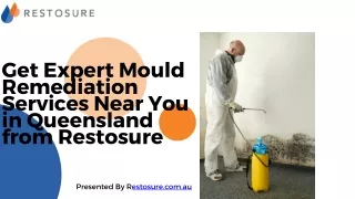 Mould Remediation Services in Queensland| Mould Remediation Services Provider Ne