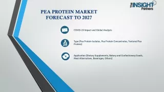 Pea Protein Market Growth, Demand 2019-2027