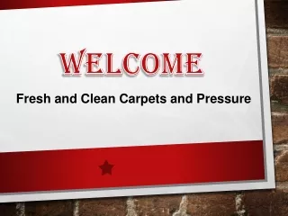 Best Steam Cleaning in North Shore