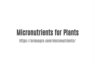 Micronutrients for plants | Aries Agro