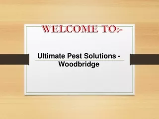 Looking for the best Pest Control in Woodbridge