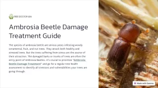 Ambrosia Beetle Damage Treatment Guide By Tree Doctor USA