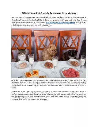 Athidhi: The Best Indian Restaurant in Heidelberg, Germany