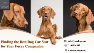 Finding the Best Dog Car Seat for Your Furry Companion