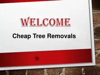 Best Tree Removal in Frankston North