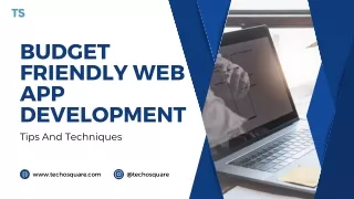 Budget Friendly Web App Development: Tips And Techniques