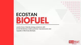 Introducing ECOSTAN Biofuel: Your Sustainable Source of Energy