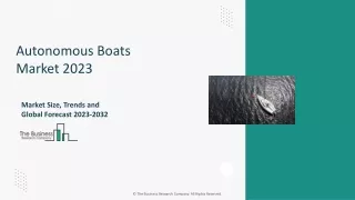 Autonomous Boats   Market