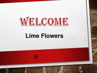 Best Flower Delivery in White Gum Valley