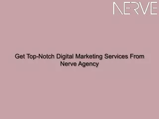 Get Top-Notch Digital Marketing Services From Nerve Agency