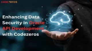 Enhancing Data Security in Oracle API Development with Codezeros