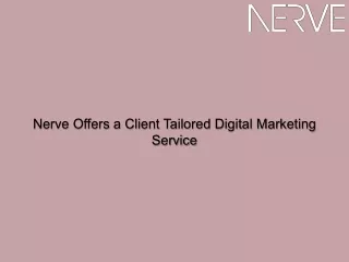 Nerve Offers a Client Tailored Digital Marketing Service