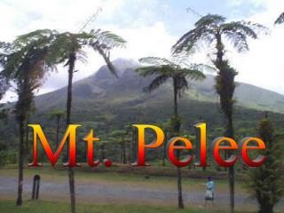 Mt. Pelee