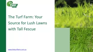 Tall Fescue-The Turf Farm