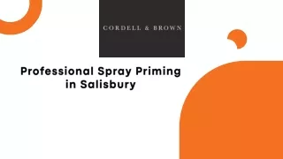 Professional Spray Priming in Salisbury