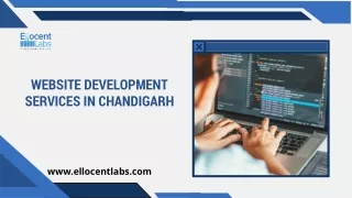 Website Development Services in Chandigarh | Ellocent Labs