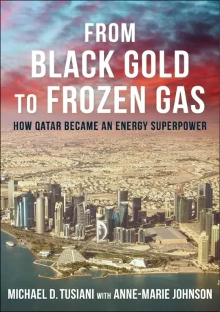 Read ebook [PDF]  From Black Gold to Frozen Gas: How Qatar Became an Energy Supe