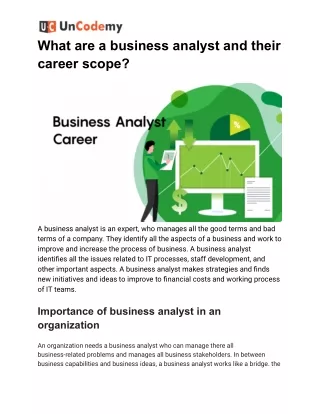 What are a business analyst and their career scope?