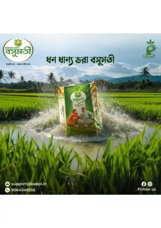 Bardhaman Agro's Wholesale Basmati Rice: A Taste of Perfection