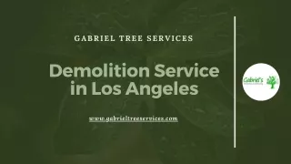 Demolition Service in Los Angeles - Gabrieltreeservices.com
