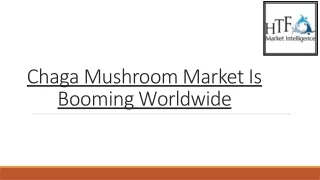 Chaga Mushroom Market Size & Growth Outlook 2023-2028
