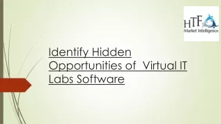 Virtual IT Labs Software Market Size & Growth Outlook 2023-2028