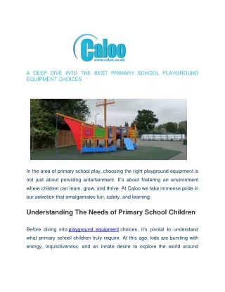 A Deep Dive into the Best Primary School Playground Equipment Choices - Caloo Ltd