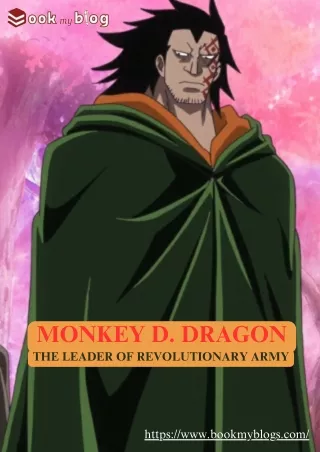 Monkey D. Dragon