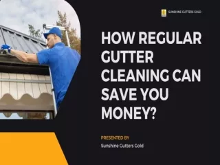 How Regular Gutter Cleaning Can Save You Money?