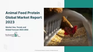 Global Animal Feed Protein Market Segmentation, Growth Rate, Value And Forecast