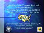 Evaluation of Grief Support Services for Bereaved Youth: An ...