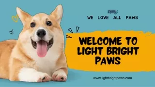 Pet Friendly Stores | Light Bright Paws