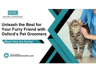 Unleash the Best for Your Furry Friend with Oxford’s Pet Groomers