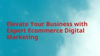 Ecommerce Digital Marketing