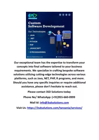 Custom Software Development Companies in Tanzania