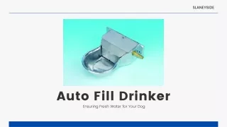 Auto Fill Drinker - Slaneyside Kennels