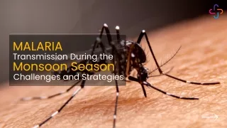 Malaria Transmission During the Monsoon Season