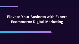 Elevate Your Business with Expert Ecommerce Digital Marketing