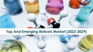 Top And Emerging Biofuels Market Size, Growth and Research Report 2029.