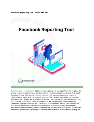 Facebook Reporting Tool