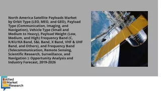 North America Satellite Payloads Market PDF