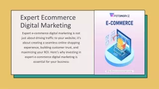 Expert Ecommerce Digital Marketing