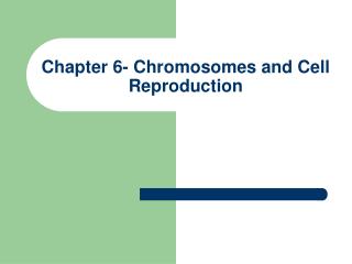 Chapter 6- Chromosomes and Cell Reproduction