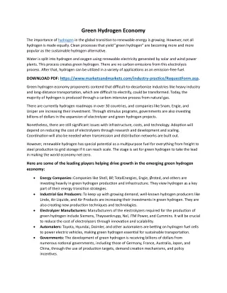 The Emergence of a Green Hydrogen Economy: Technologies, Players, and Potential