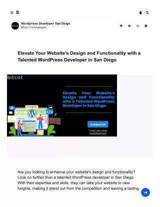 Elevate Your Website's Design and Functionality with a Talented WordPress Developer in San Diego