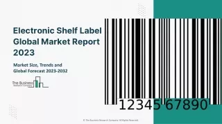 Global Electronic Shelf Label Market Size, Share And  Trends Report 2023
