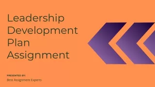 Leadership Development Plan Assignment - Best Assignment Experts